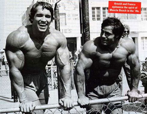 gym arnie