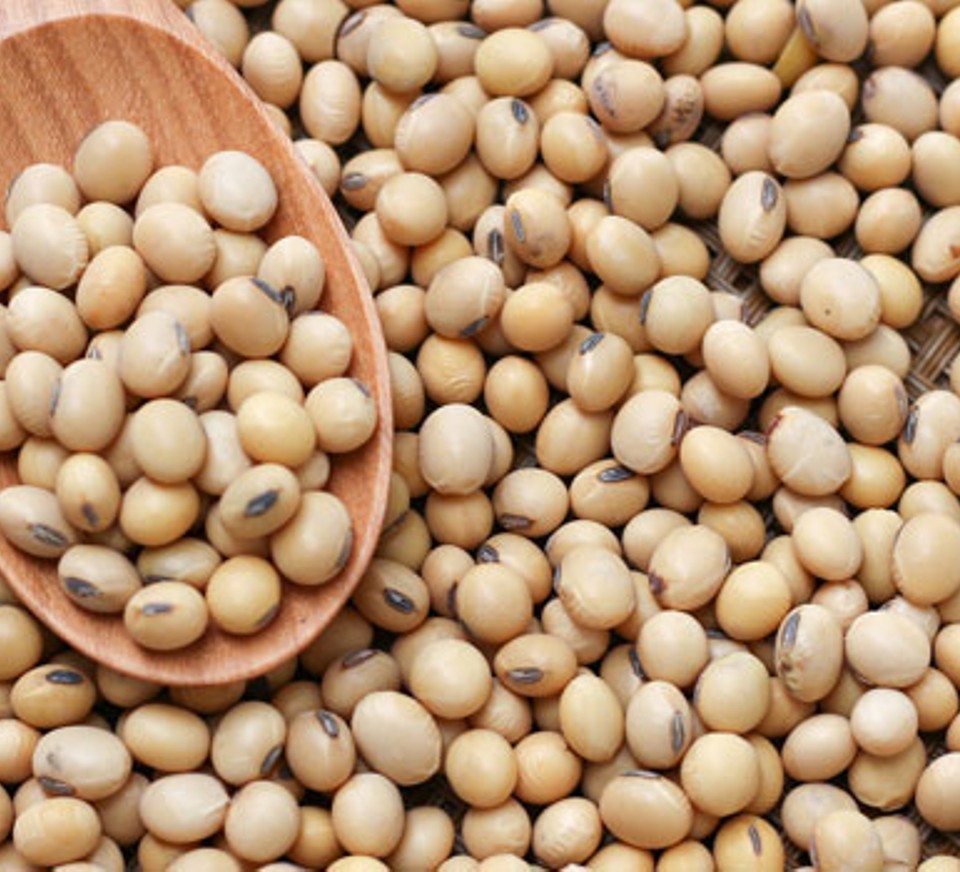 Soy: What's The Big Deal?