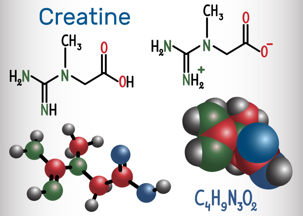 Creatine Molecule