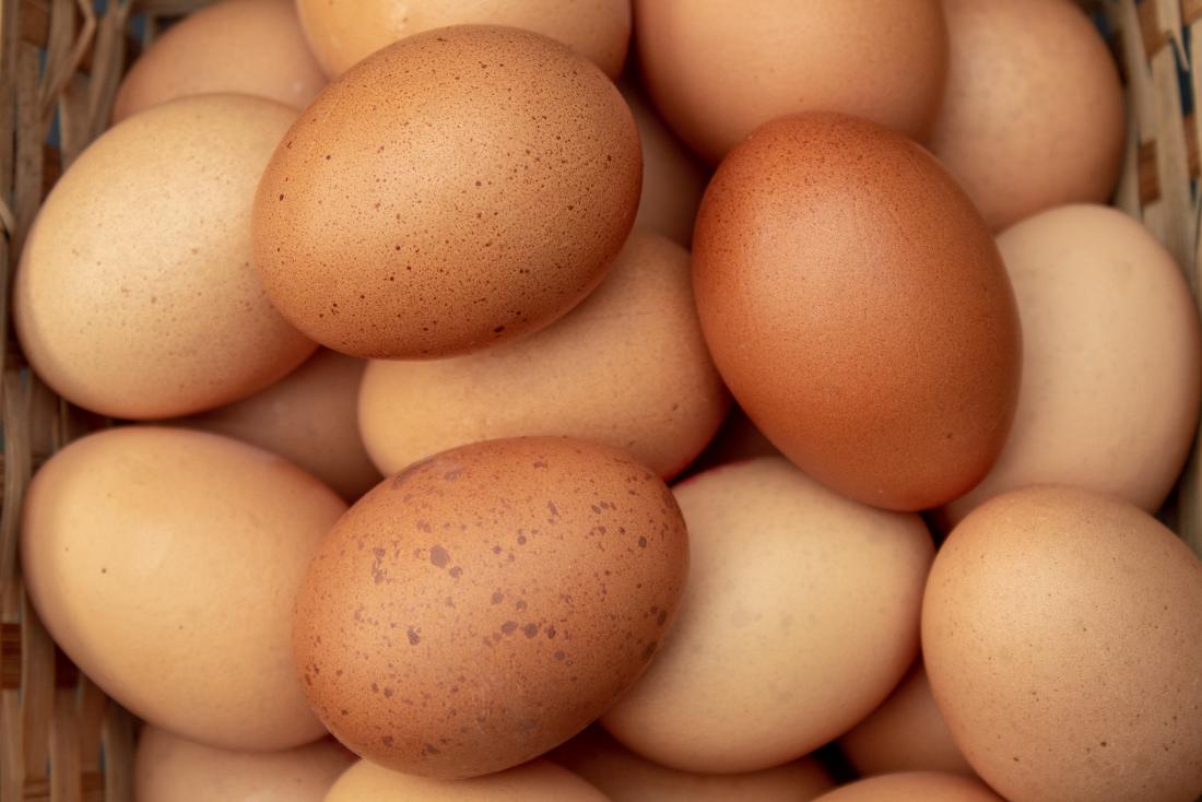 eggs insulin resistance
