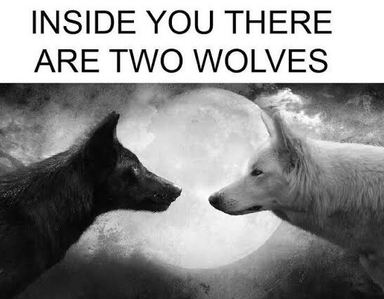 lunar cycle wolves