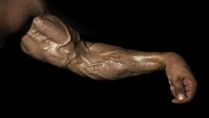 grip strength forearms