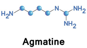 agmatine