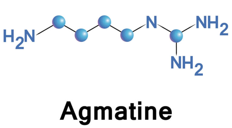 agmatine