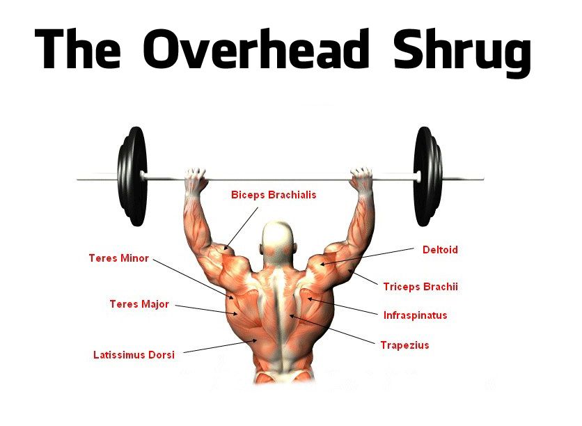 overhead shrugs