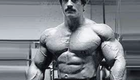 mike mentzer workout